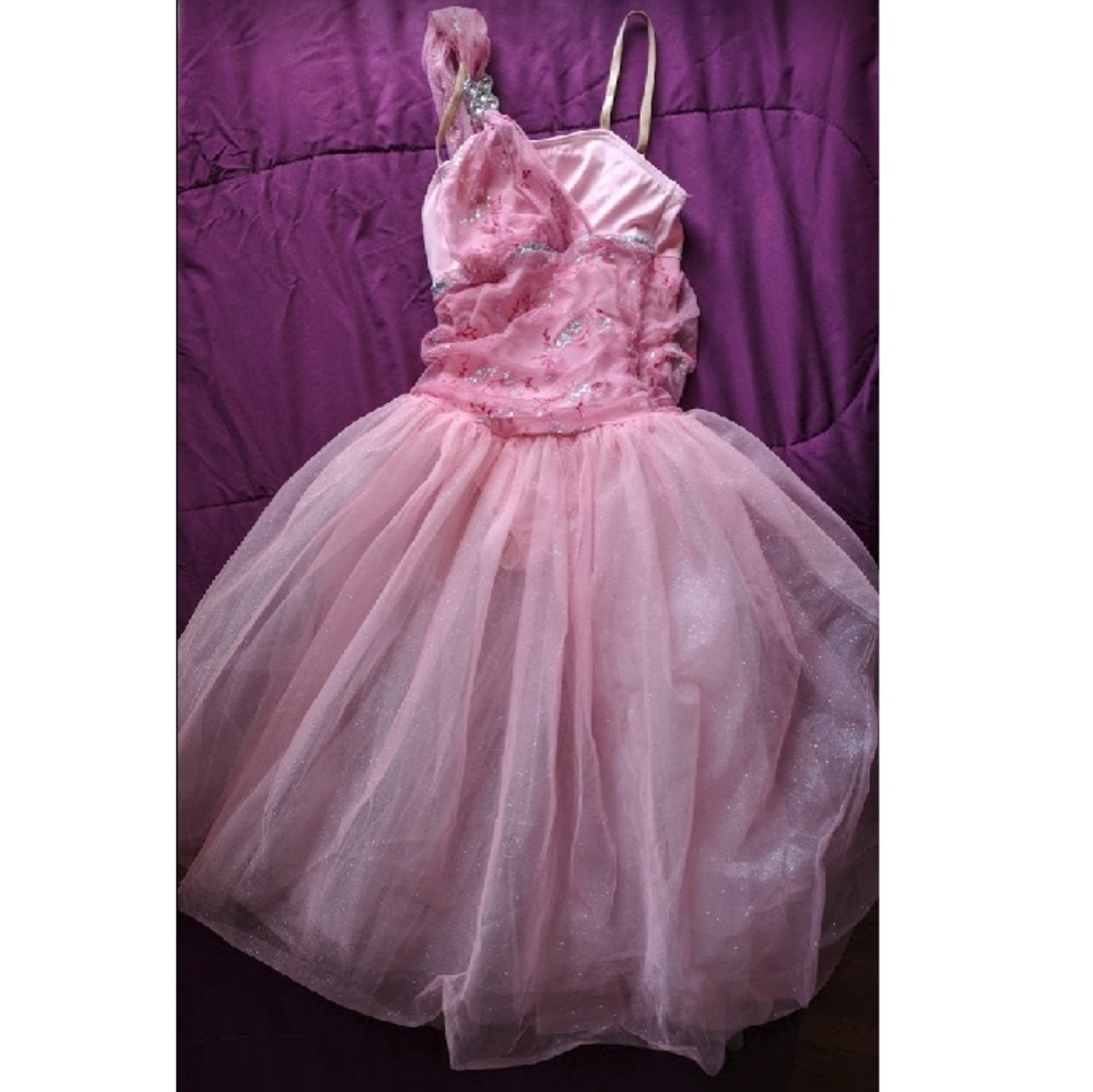Weissman Pink Princess Dress